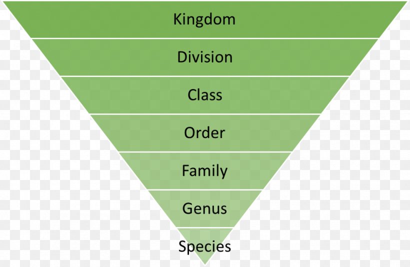 Recycling Reuse Waste Hierarchy Marketing, PNG, 985x642px, Recycling, Area, Brand, Conversion Marketing, Diagram Download Free