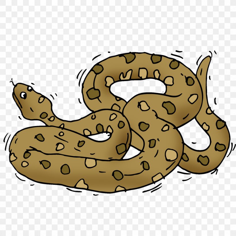Snakes Clip Art Cartoon Image, PNG, 1000x1000px, Snakes, Amphibian, Anaconda, Art, Cartoon Download Free