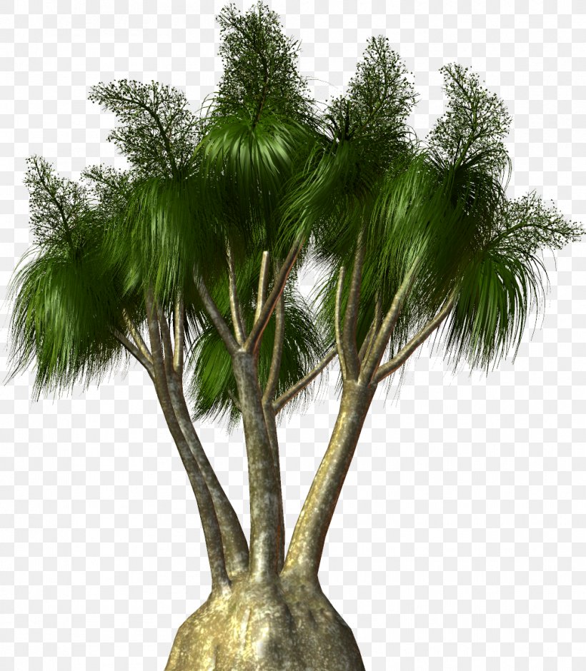 Arecaceae Tree Plant Clip Art, PNG, 1010x1158px, Arecaceae, Arecales, Attalea Speciosa, Borassus Flabellifer, Branch Download Free