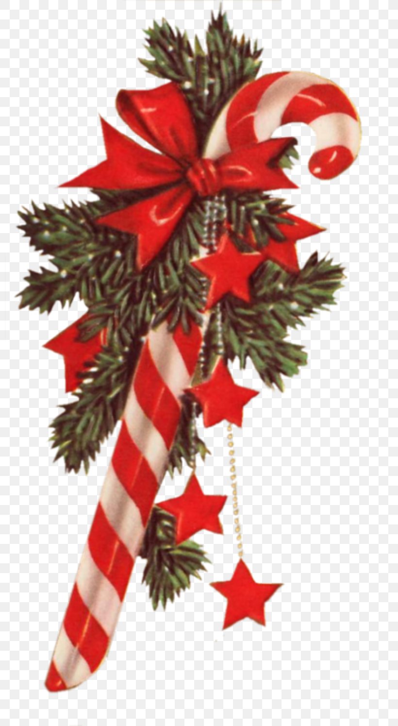 Christmas Ornament, PNG, 800x1495px, Christmas Ornament, Christmas, Christmas Decoration, Conifer, Decor Download Free