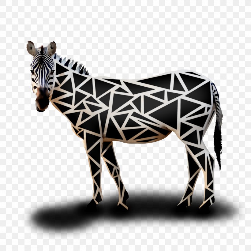 Donkey Quagga Pack Animal Wildlife Snout, PNG, 1500x1500px, Donkey, Animal, Fauna, Horse, Horse Like Mammal Download Free