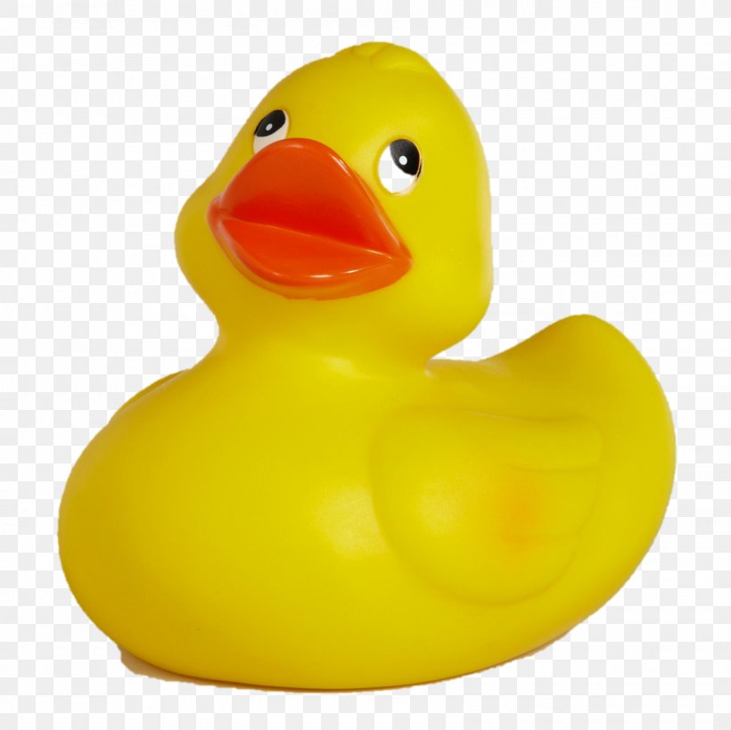 Duck Beak, PNG, 1600x1600px, Duck, All 4, Beak, Bird, Ducks Geese And Swans Download Free