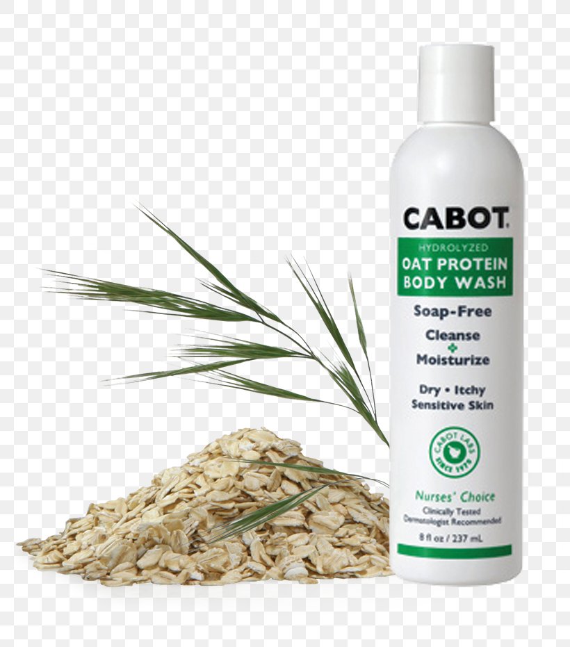 Lotion Grasses Herb Shower Gel Oat, PNG, 800x931px, Lotion, Grass, Grasses, Herb, Herbal Download Free