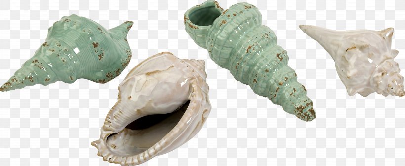 Seashell Glass Collection Metal, PNG, 4524x1864px, Seashell, Artifact, Body Jewelry, Bottle, Bowl Download Free