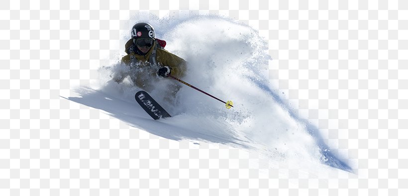 Ski Bindings Freestyle Skiing Piste Telemark Skiing Ski Cross, PNG, 656x395px, Ski Bindings, Adventure, Adventure Film, Extreme Sport, Freestyle Skiing Download Free