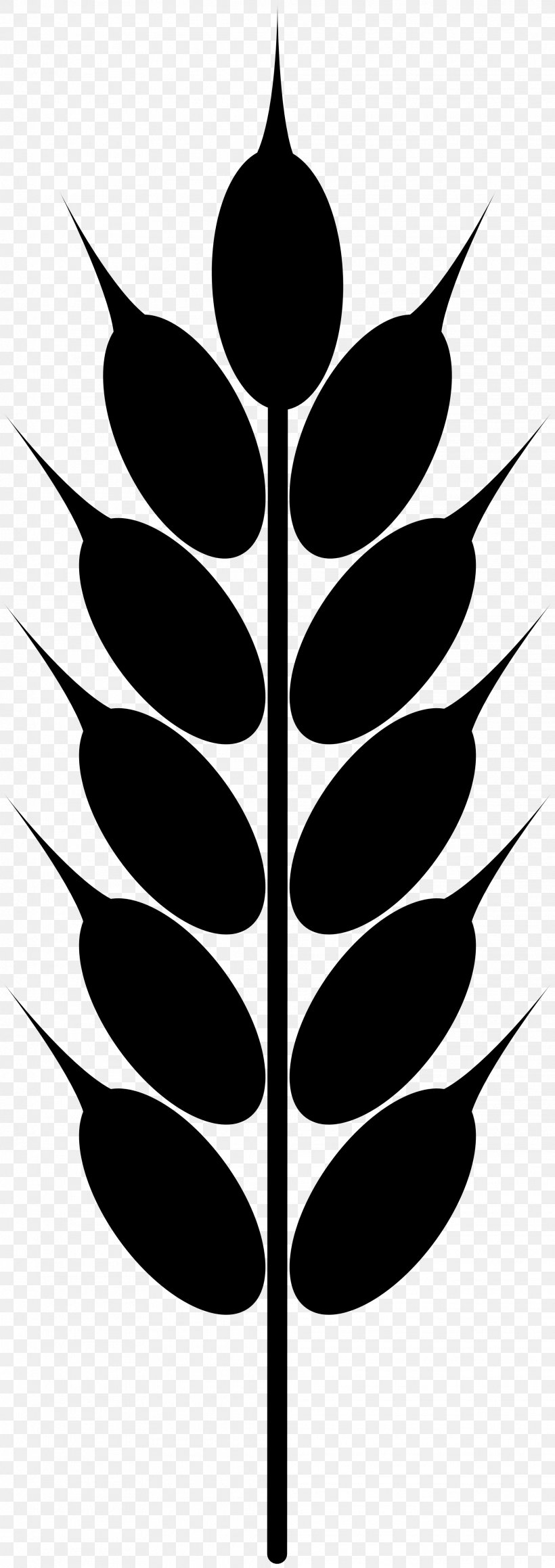 Wheat Grain Clip Art, PNG, 1969x5568px, Wheat, Black And White, Branch, Drawing, Flora Download Free