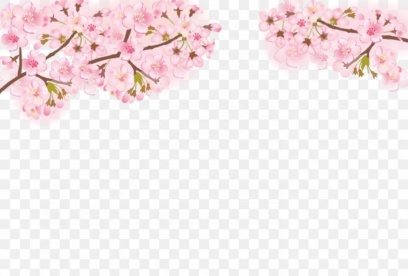 Cherry Blossom Frame., PNG, 1480x1000px, Cherry Blossom, Blossom, Branch, Floral Design, Flower Download Free
