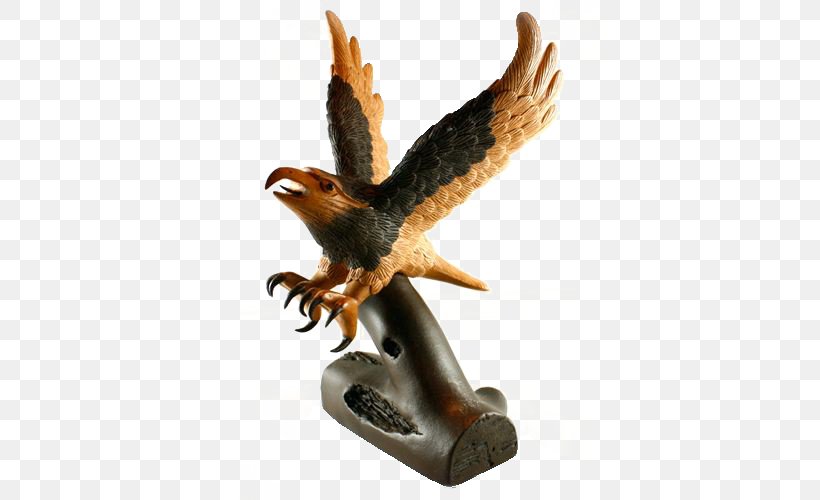 Eagle Hawk Google Images Download, PNG, 500x500px, Eagle, Archive, Beak, Bird, Bird Of Prey Download Free