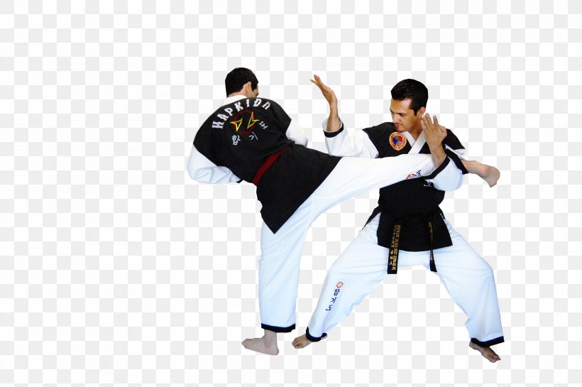 Hapkido Martial Arts Combat Sport Taekwondo, PNG, 3008x2000px, Hapkido, Arm, Combat, Combat Hapkido, Combat Sport Download Free