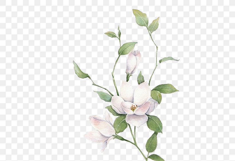 Jasmine Mo Li Hua, PNG, 510x562px, Jasmine, Art, Blossom, Branch, Cartoon Download Free