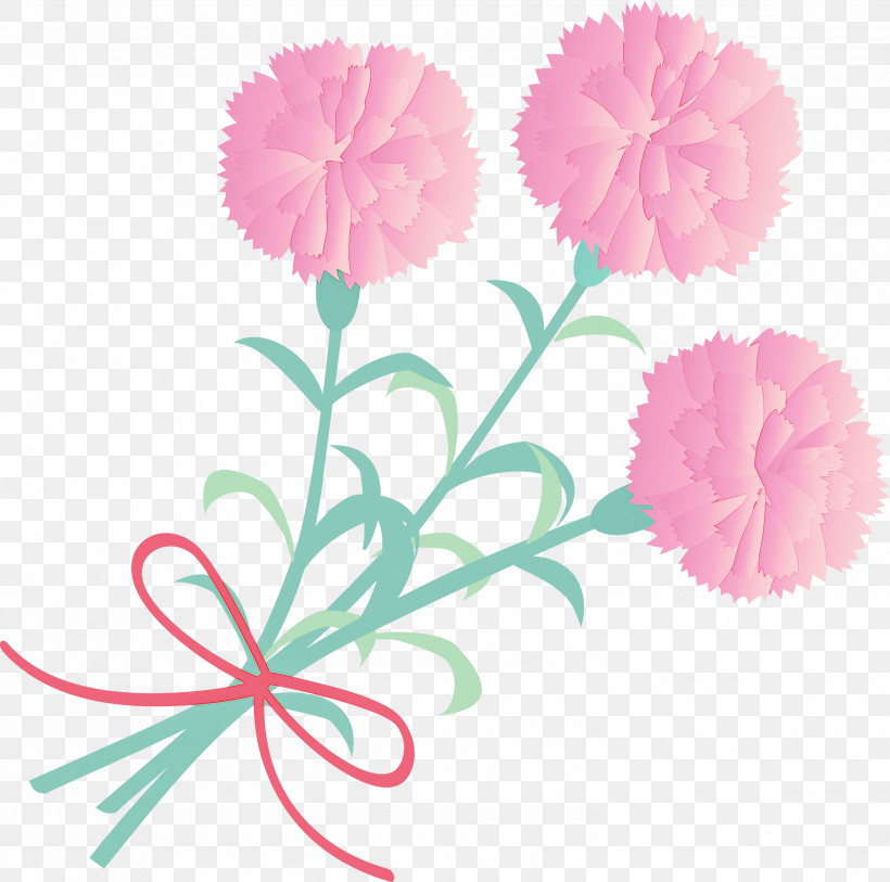 Mothers Day Carnation Mothers Day Flower, PNG, 3000x2978px, Mothers Day Carnation, Artificial Flower, Carnation, Cut Flowers, Dianthus Download Free