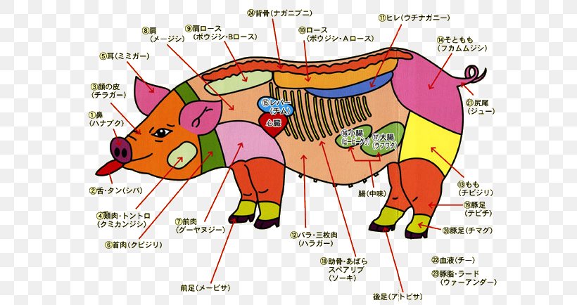 Pork Domestic Pig Soki Meat, PNG, 600x434px, Watercolor, Cartoon, Flower, Frame, Heart Download Free