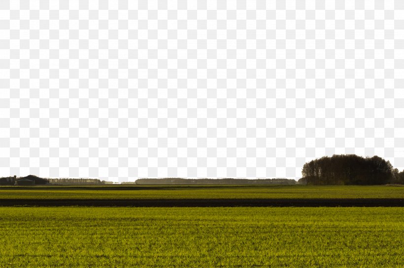 Under The Lawn In The Evening, PNG, 2222x1479px, Grassland, Cloud, Computer, Energy, Family Download Free