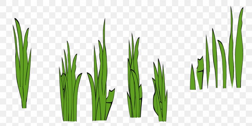 Lawn Clip Art, PNG, 1000x500px, Lawn, Commodity, Computer, Grass, Grass Family Download Free