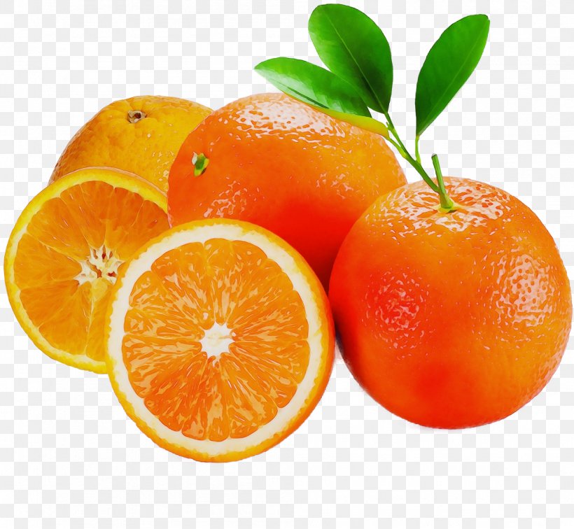 Orange, PNG, 1994x1840px, Watercolor, Citrus, Clementine, Food, Fruit Download Free