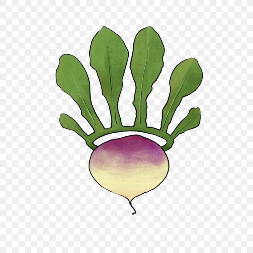 Vegetable Illustration Turnip Leaf Carrot, PNG, 1024x1024px, Vegetable, Carrot, Crown, Flower, Flowering Plant Download Free
