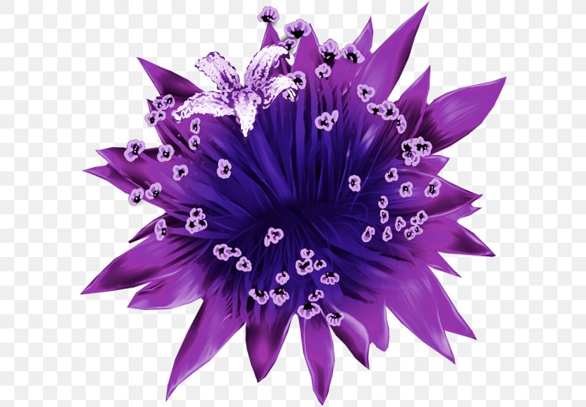 Cut Flowers Bokmärke Petal Victorian Era, PNG, 600x570px, Flower, Biscuits, Com, Cut Flowers, Electric Blue Download Free
