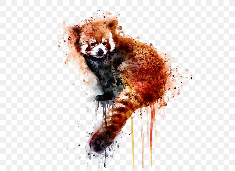 Red Panda Giant Panda Watercolor Painting Art, PNG, 600x600px, Red Panda, Art, Artist, Canvas, Canvas Print Download Free