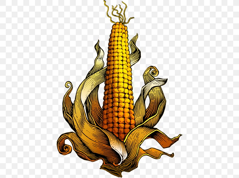 Biggi Brands (PTY) Ltd Corn Cretors .com Bacon, PNG, 434x611px, Corn, Bacon, Cartoon, Com, Commodity Download Free