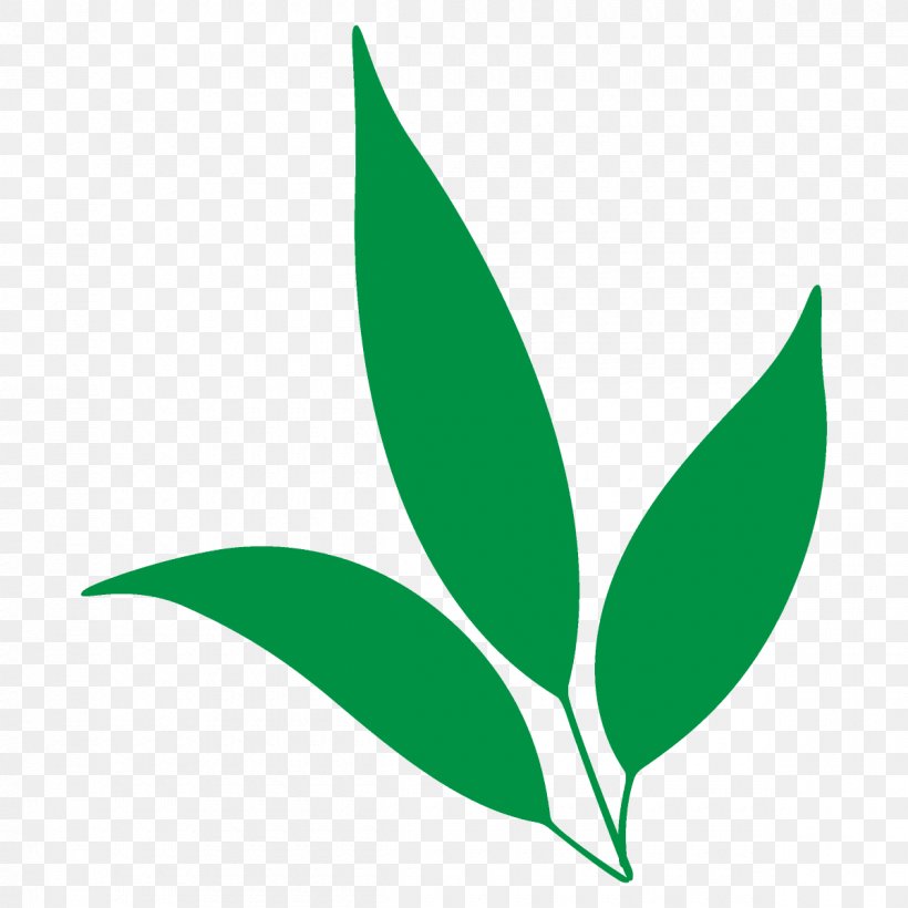 Leaf Green Logo Plant Flower, PNG, 1200x1200px, Cartoon Leaf, Cute Leaf, Flower, Green, Leaf Download Free