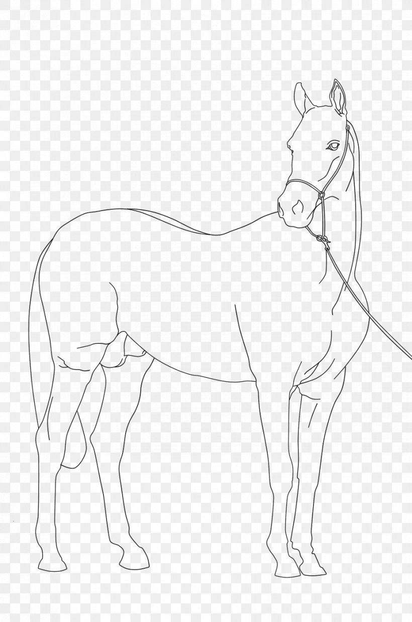 Mule Pony Arabian Horse Mustang Foal, PNG, 928x1400px, Mule, Animal Figure, Arabian Horse, Arm, Artwork Download Free