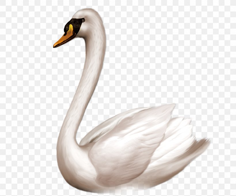 Swan Goose Bird Domestic Goose Clip Art, PNG, 1800x1500px, Swan Goose, Beak, Bird, Cygnini, Domestic Goose Download Free