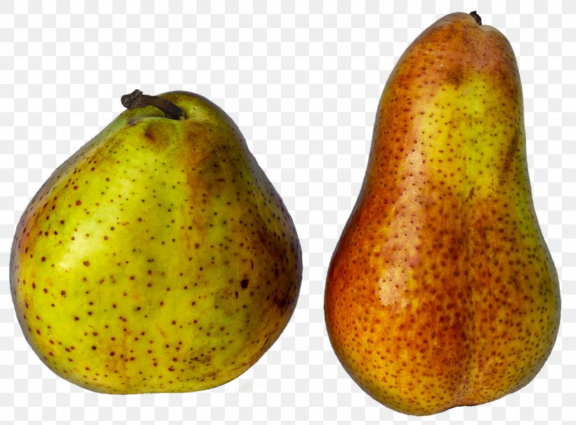 European Pear Asian Pear Fruit Kolach Pome, PNG, 1280x947px, European Pear, Accessory Fruit, Amygdaloideae, Apple, Asian Pear Download Free
