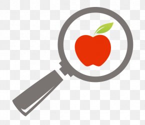 Magnifying Glass - Magnifying Glass Healthy Diet Clip Art Eating PNG