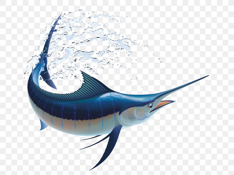 Marlin Fishing Atlantic Blue Marlin, PNG, 741x614px, Marlin Fishing, Atlantic Blue Marlin, Billfish, Bony Fish, Cartilaginous Fish Download Free