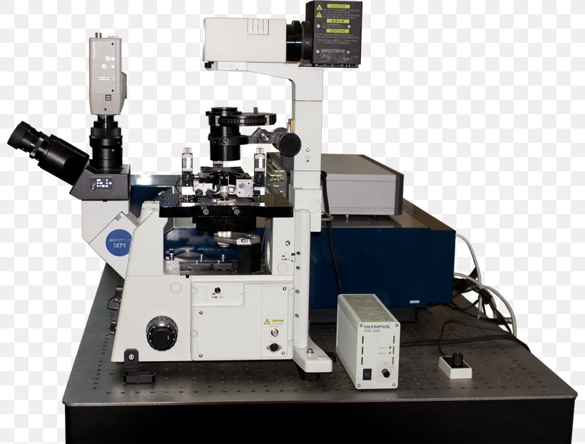 Optical Microscope Scanning Probe Microscopy Confocal Microscopy Atomic Force Microscopy, PNG, 800x622px, Microscope, Atomic Force Microscopy, Confocal Laser Scanning Microscopy, Confocal Microscopy, Fluorescence Download Free