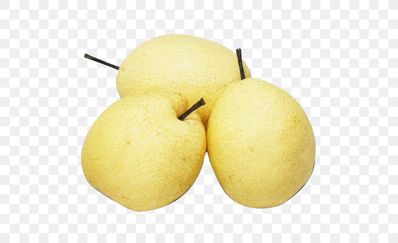 Asian Pear China Pyrus Xd7 Bretschneideri Pyrus Nivalis Fruit, PNG, 500x500px, Asian Pear, Apple, China, Citrus, Dried Fruit Download Free