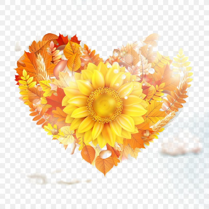 Common Sunflower Gold, PNG, 1000x1000px, Common Sunflower, Art, Autumn, Blue, Chrysanths Download Free