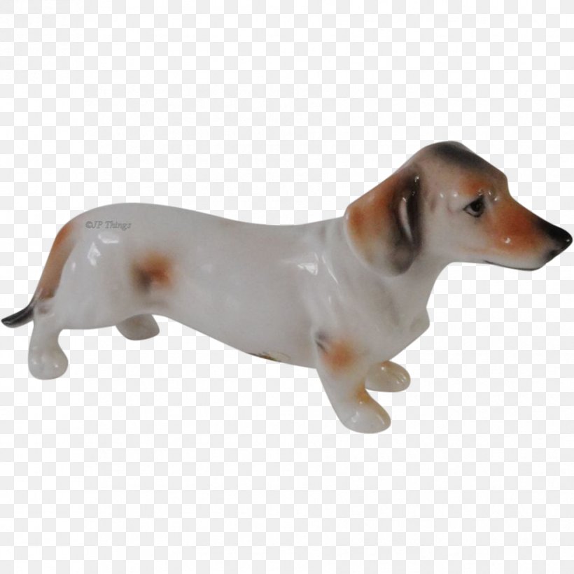 Dog Breed Puppy Companion Dog Snout, PNG, 903x903px, Dog Breed, Breed, Carnivoran, Companion Dog, Dog Download Free