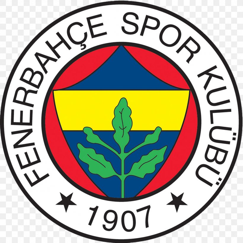 Fenerbahçe S.K. Fenerbahçe Women's Volleyball Sports Association Süper Lig, PNG, 1254x1255px, Sport, Area, Artwork, Brand, Football Download Free