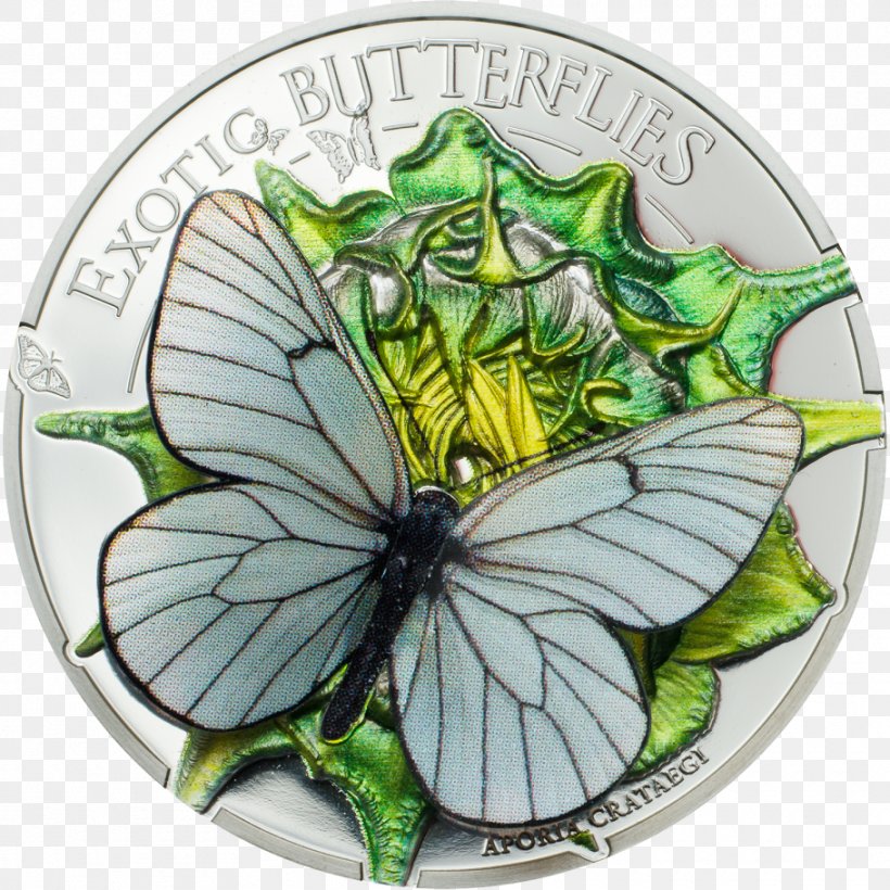Mongolia Silver Coin Silver Coin Commemorative Coin, PNG, 910x910px, 2 Euro Commemorative Coins, Mongolia, Brush Footed Butterfly, Butterfly, Coin Download Free