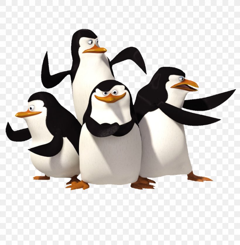 Penguin Antarctica Madagascar DreamWorks Animation, PNG, 881x898px, Penguin, Antarctic, Antarctica, Beak, Bird Download Free