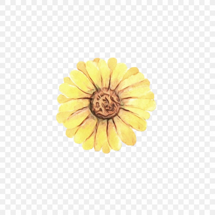 Sunflower, PNG, 900x900px, Watercolor, Daisy Family, English Marigold, Flower, Gerbera Download Free