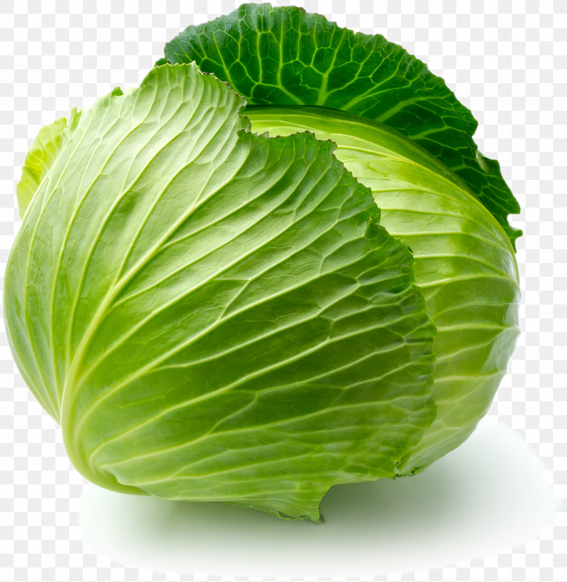 Cabbage Leaf Vegetable Wild Cabbage Plant, PNG, 2658x2728px, Cabbage, Flower, Food, Iceburg Lettuce, Leaf Download Free