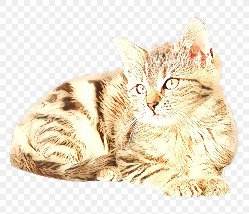 Cat Food Kitten Dog Purina One, PNG, 2231x1920px, Cat, American Bobtail, Asian, Carnivore, Cat Food Download Free