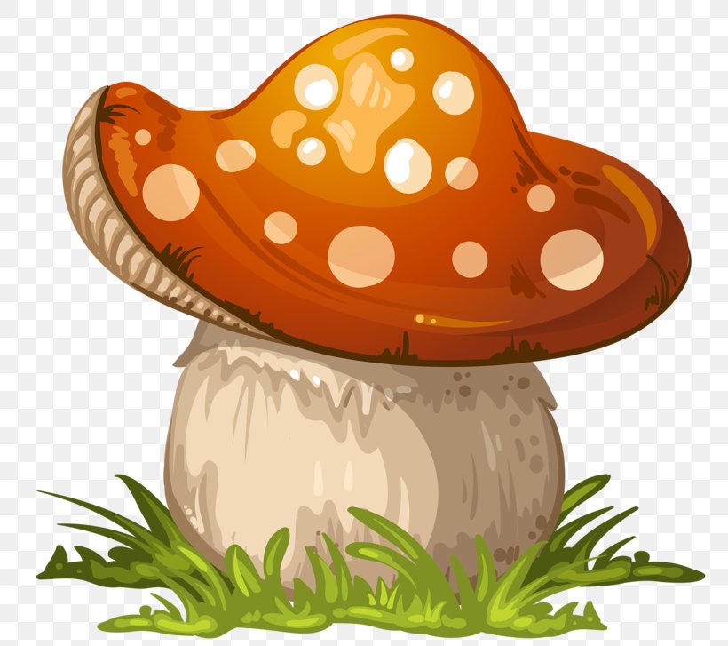Fungus Mushroom Clip Art, PNG, 800x727px, Fungus, Amanita, Boletus Edulis, Chanterelle, Cowboy Hat Download Free