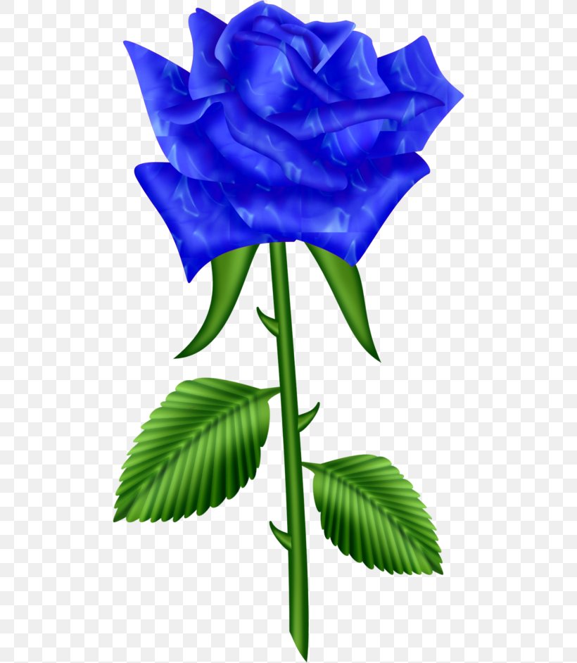 Blue Rose Garden Roses Cabbage Rose Flower Clip Art, PNG, 500x942px, Blue Rose, Beach Rose, Blue, Bud, Cabbage Rose Download Free