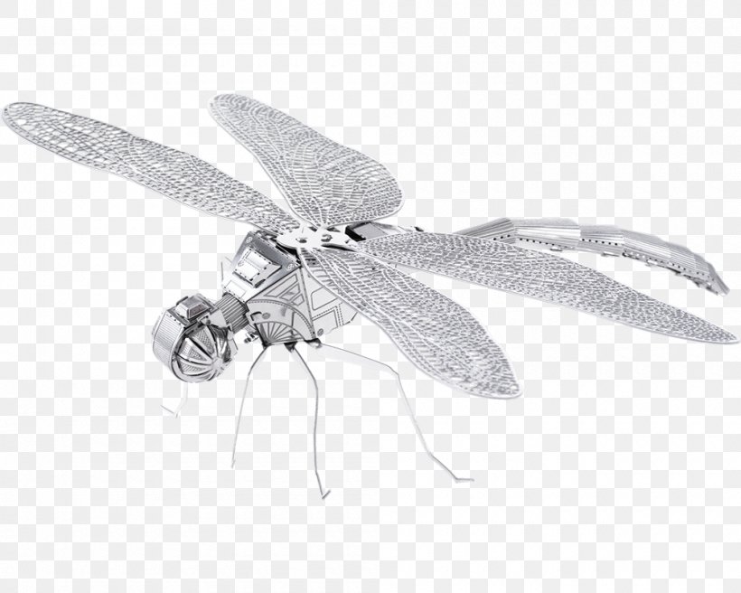 Model Kit Metal Earth Dragonfly Sheet Metal Beetle, PNG, 1000x800px, Metal, Arthropod, Beetle, Black And White, Dragonflies And Damseflies Download Free