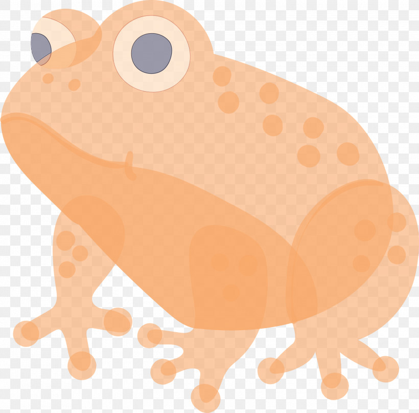 Toad Anaxyrus Wood Frog Frog True Frog, PNG, 3000x2955px, Frog, Anaxyrus, Bufo, Fawn, Hyla Download Free