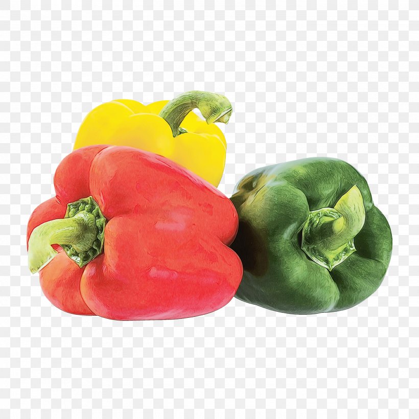 Vegetable Cartoon, PNG, 2800x2800px, Chili Pepper, Bell Pepper, Capsicum, Cayenne Pepper, Food Download Free