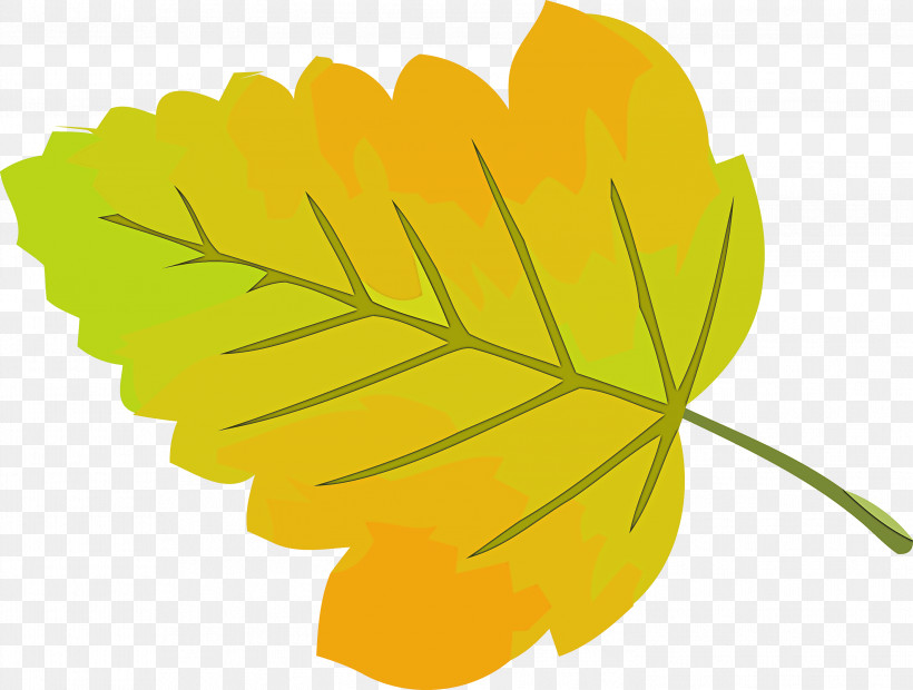 Autumn Leaf Yellow Leaf Leaf, PNG, 2947x2231px, Autumn Leaf, Flower, Herbaceous Plant, Leaf, Plant Download Free