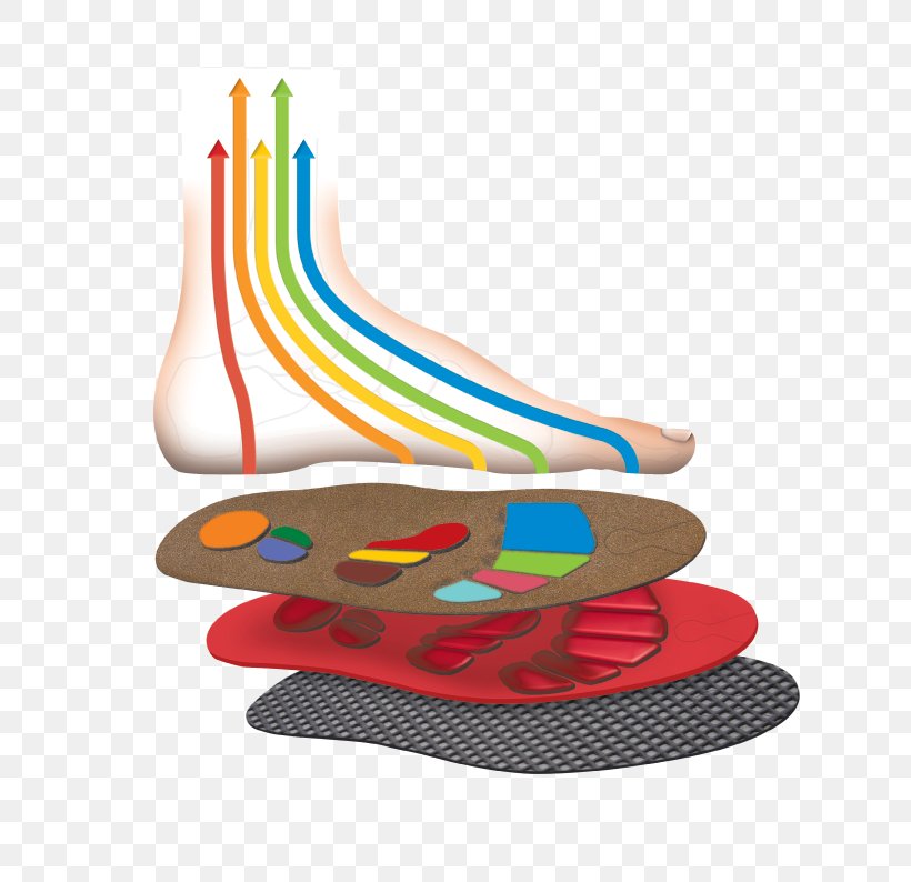 Line Shoe, PNG, 652x794px, Shoe, Footwear, Outdoor Shoe Download Free