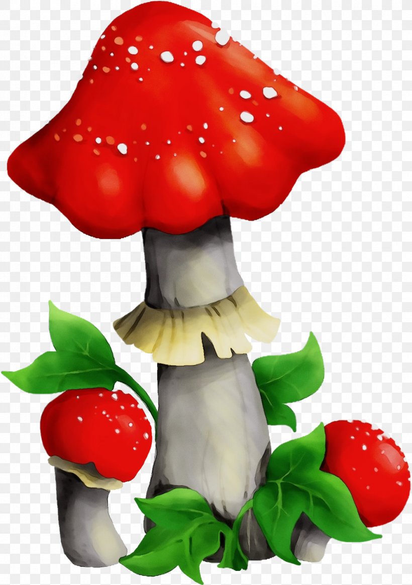 Mushroom Agaric Agaricomycetes Fungus Medicinal Mushroom, PNG, 996x1412px, Watercolor, Agaric, Agaricomycetes, Agaricus, Edible Mushroom Download Free