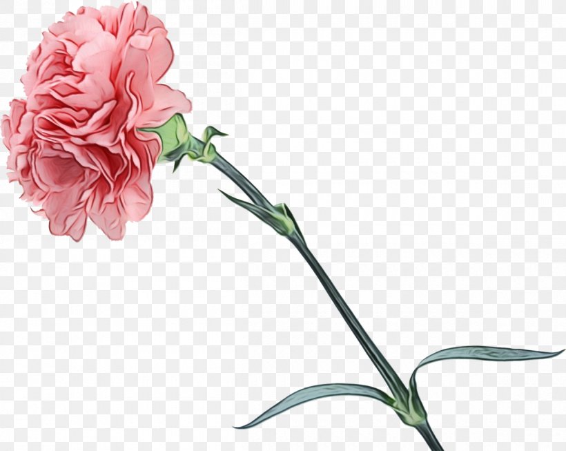 Pink Flowers Background, PNG, 1200x957px, Carnation, Artificial Flower, Common Peony, Cut Flowers, Dianthus Download Free