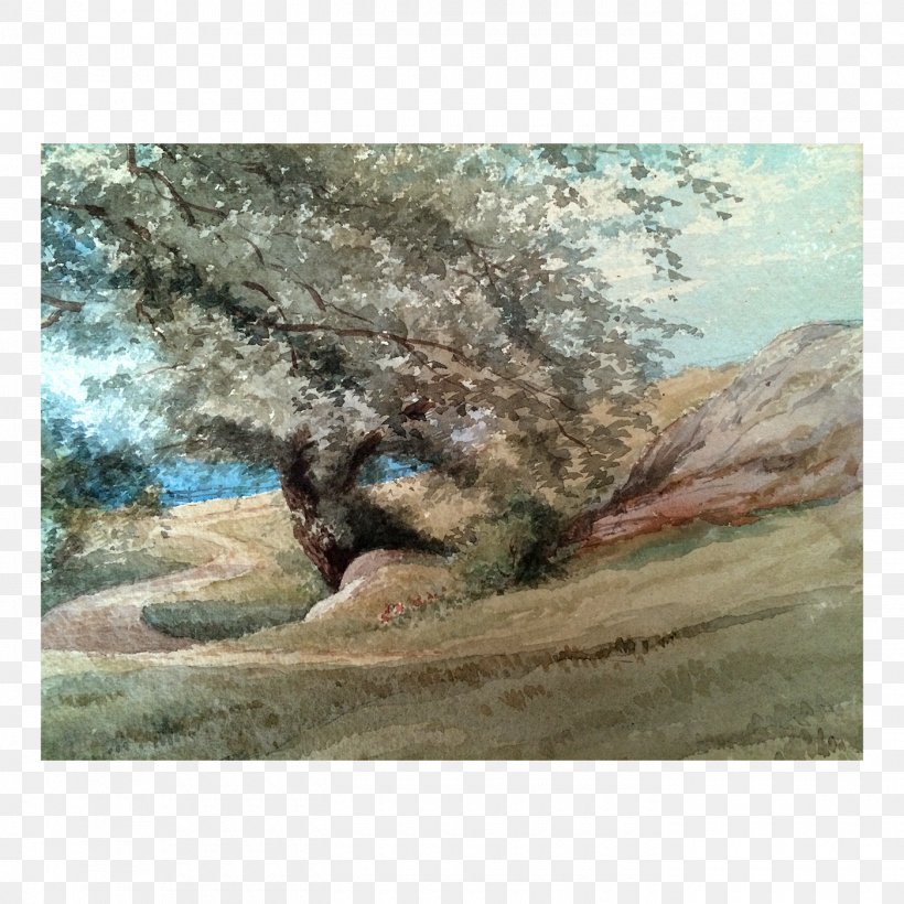 Watercolor Painting Artist Inch Boston, PNG, 1400x1400px, Painting, Artist, Boston, Branch, Flower Download Free