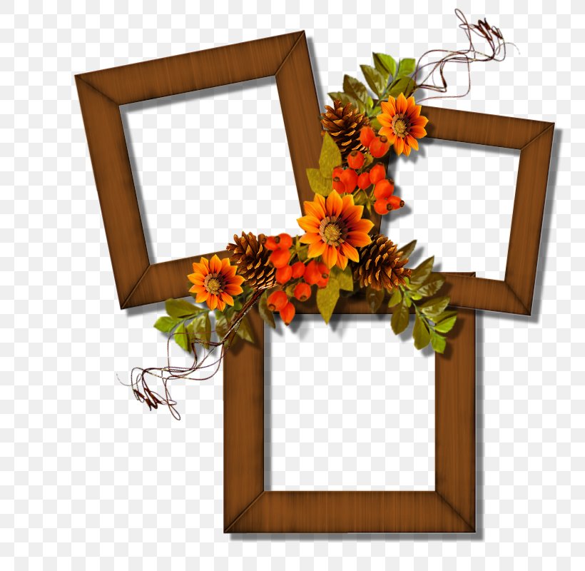 Clip Art, PNG, 800x800px, Photography, Albom, Animation, Autumn, Cut Flowers Download Free